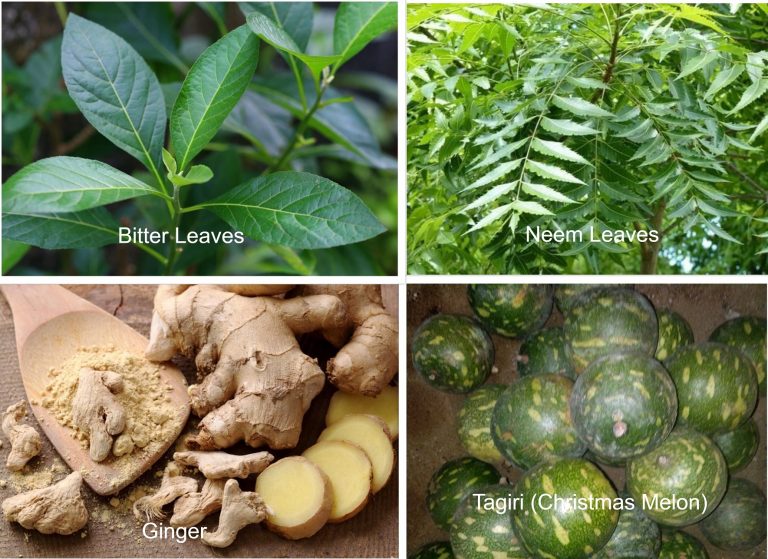 Can neem, bitter leaves, Tagiri, others prevent, cure COVID-19?