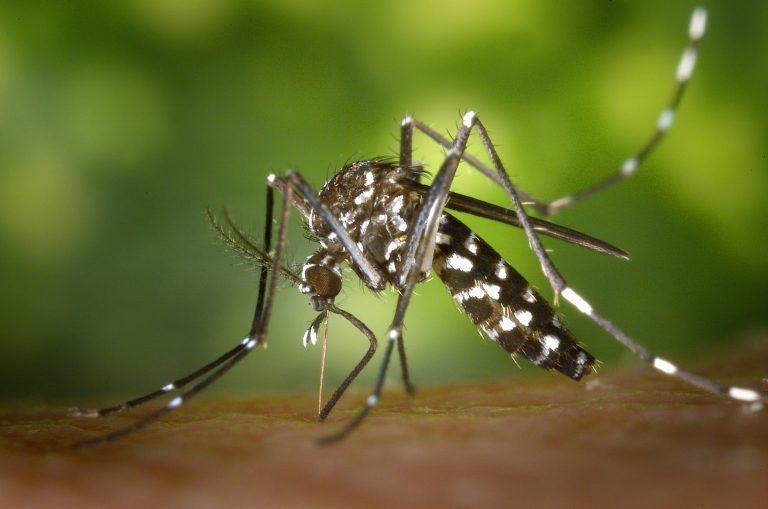 FACTSHEET: Malaria and mosquito nets distribution in Nigeria