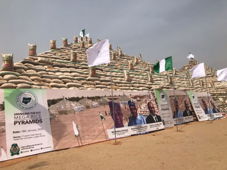 Viral photo of rice pyramid built with wood not recent