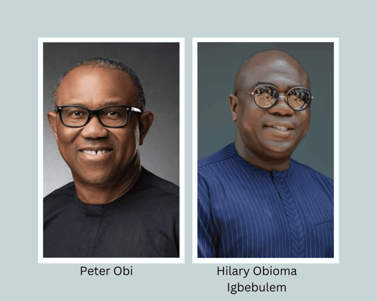 Image on branded bags of rice shows PDP chieftain not Peter Obi