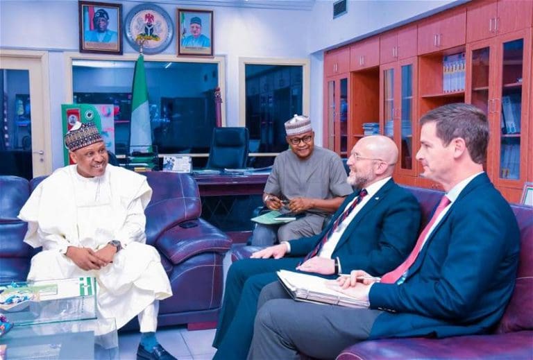 Nigerian government seeks US support to combat misinformation