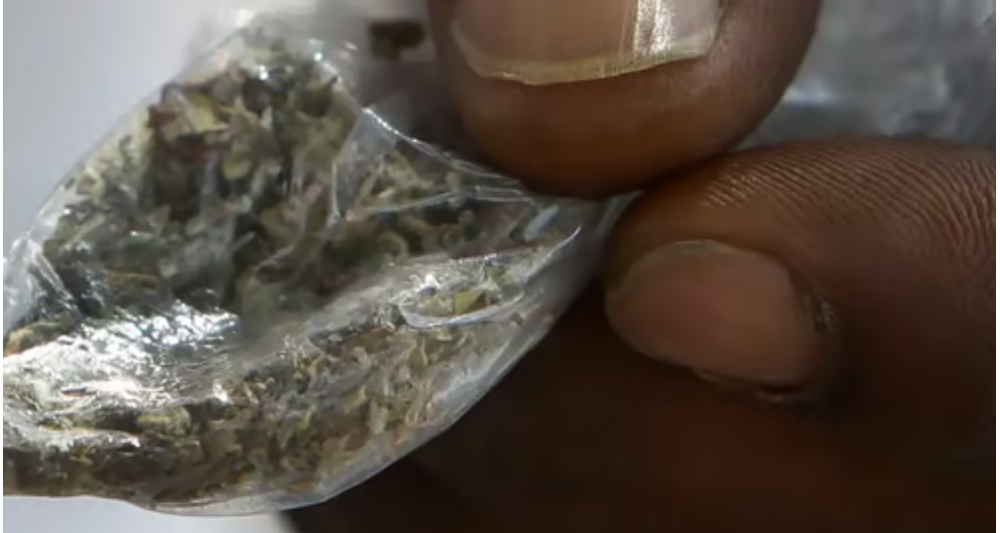 Many youth in West Africa are turning to kush as a recreational drug. Photo Credit: Melissa Phillip/AP Images.