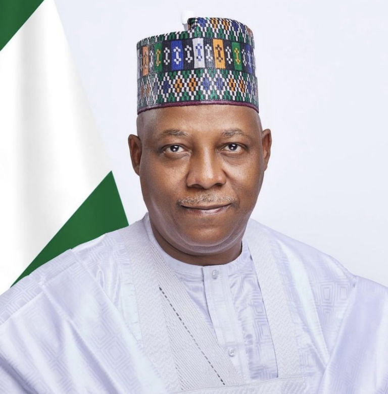 Kashim Shettima. PHOTO CREDITS: State House.