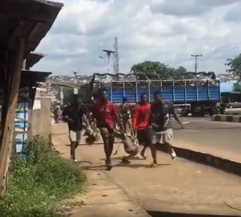 A scene from the video of people carting goats.