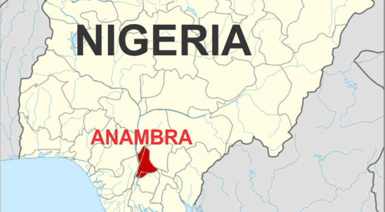 Fact-checking multiple claims about development indices in Anambra