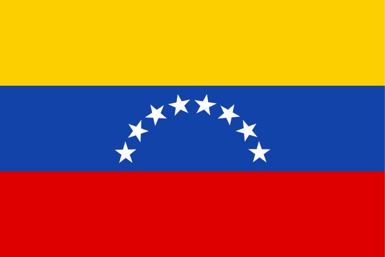 Venezuelan Flag
