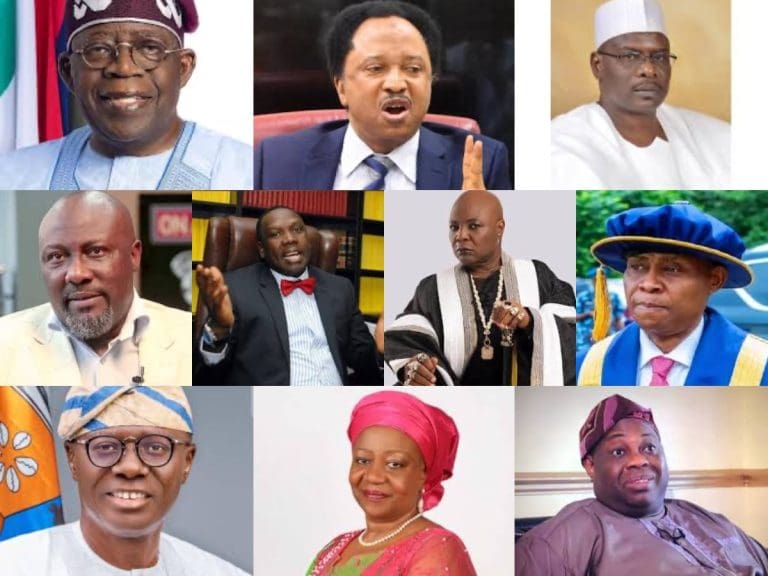 Top 10 notable Nigerians caught spreading misinformation in 2024