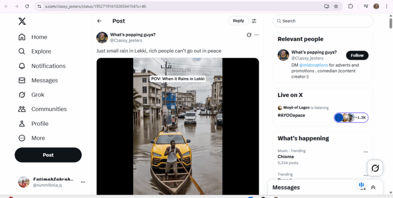 AI-generated video of cars on canoes in flooded Lekki sparks discussion on digital literacy