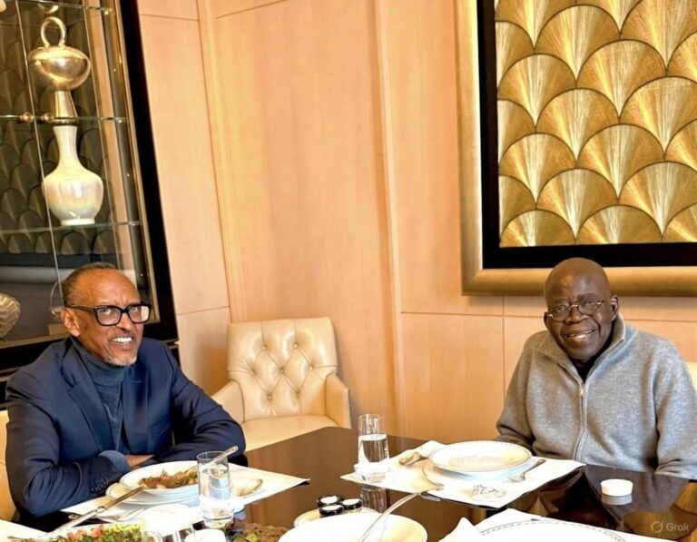 Grok Watermark triggered doubts over Tinubu–Kagame photo